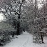 Jan 013