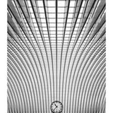 Infinita Libertas