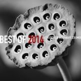 Best of 2014