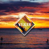 Veller #6