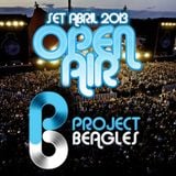 Project Beagles - Open Air - 07.04.2013