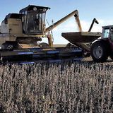 2015-10-20│Bigand: Desalojo de trabajadores rurales│Pablo Paillole- dirigente de Federación Agraria