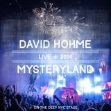 david hôhme - Live @ Mysteryland USA 2014