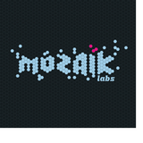 Mozaik Labs au Flex 08.07.2011