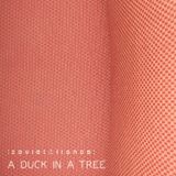A Duck in a Tree 2014-04-12 | Between the Felt and the Imagined