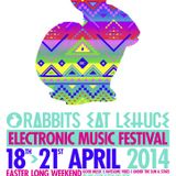 Rabbits Eat Lettuce Festival 2014 - Bass To Pain Converter