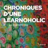 Chroniques d'une learnoholic #1 - Le transmédia