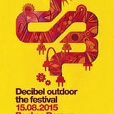 Bass Chaserz @ Decibel Outdoor 2015