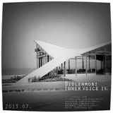 Diolenmobi - Inner Vioce 4