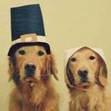 Thanksgiving Mix