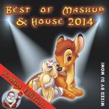 Best of MashUp & House 2014 X-Mas Edition - mixed by DJ Momi