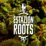 Amelía Reggae en EstaZion Roots - Nº 73