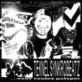TEKNEL SYNKROBEAT'Z @ vous voulez galoper