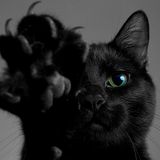 DarkCatDj - Who Is The Cat (Demo 2016 mix)