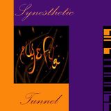 LifeTrance - Synesthetic Tunnel 017 (Aly & Fila Exclusive!)