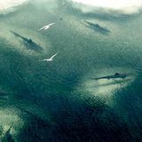 depths