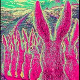 Folklore digital #17