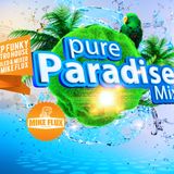 Pure Paradise Mix 2015