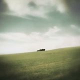 Lost in the Fields