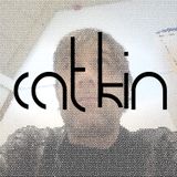 Catkin - Late Spring Mix 2013