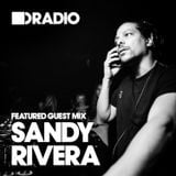 Defected In The House Radio 1.7.13 - Guest Mix Sandy Rivera
