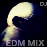 EDM MIX 13