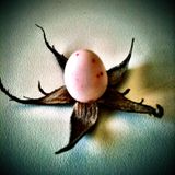 MixaThor - Easter Eggs Mix part.3 - The final part
