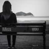 Alex Novi - Because Love is Not an Option ( Deep House podcast 08.2014)