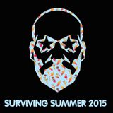 Sander Kleinenberg – Surviving Summer 2015
