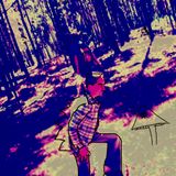 Tales from the Vienna Woods