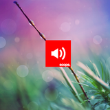 The Lounge Mix 004 - 04.15.2013