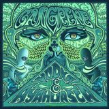 In da Zone 22 Janvier 2012 : Gangrene (Oh No + The Alchemist) & co!