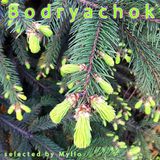 Bodryachok