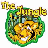 Confessions of an Old School Junglist