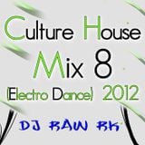 DJ RAW RK_Culture House Mix 8 (Electro Dance) 2012
