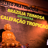 Zorzal FM #14 - Teimosia Tropicaos