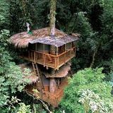 LA MAISON DANS L'ARBRE mixed by K.RISE Brussels - September 2015 - Studio 32