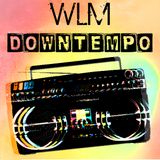 We Love Downtempo