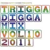 TRIGGA DIGGA MIX VOL. 10