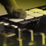 Deep Monday / Factory Pub / Saint-Pierre / La Réunion (18/05/2015)
