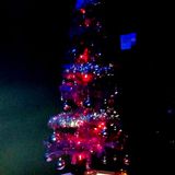 Andinger - Bright Winter Nights
