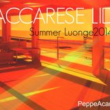 DGroove.Vdj MACCARESE LIDO SummerLounge 2014 Vol2 (PeppeAcamporaMix)ROMA