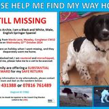Can You Help Find Archie. Please Share This MixCloud.