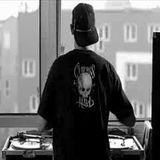 Into The Summer Wild 2015 #06 Radio Dijon Campus 92.2 France (12/08/2015)