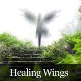 Episode2 - Healing Wings