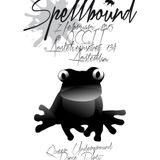 Spellbound @ OCCII (7 februari 2015 - DJ Set Martijn)