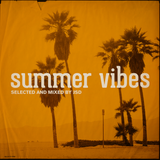 Summer Vibes