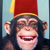 Monkeys can also do the dog with young Dj's!