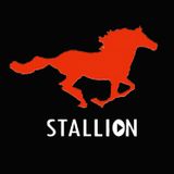 Summer Party Mix 1 - DJ Stallion (Kompa, Hip Hop, Rap, Dancehall, Soca)