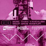Gareth Emery, Jonathan Gering Vs. Porter Robinson - More Than Vandalism (Beep Bros Mashup)